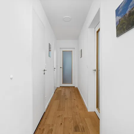 Sunny With Terraces In Kralovo Pole * Brno